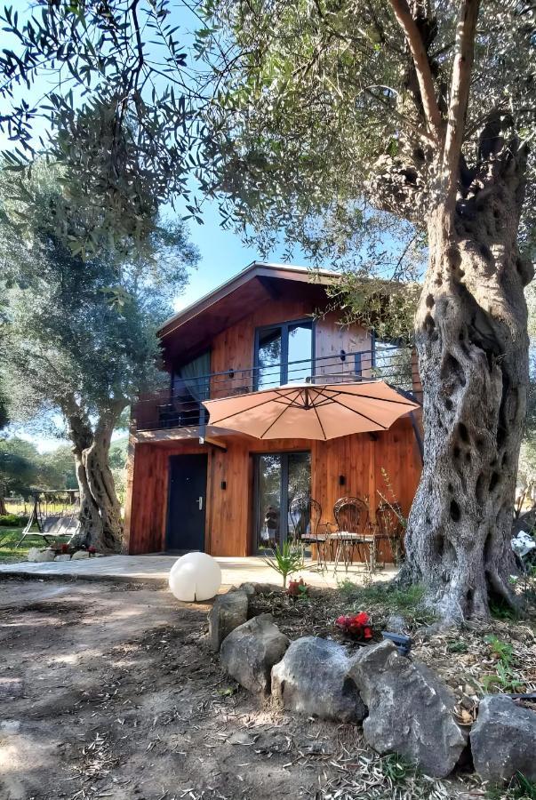 Coratina Cottage ウルツィニ エクステリア 写真